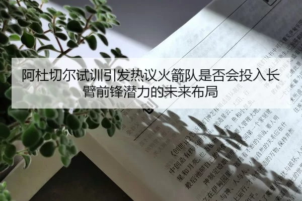 阿杜切尔试训引发热议火箭队是否会投入长臂前锋潜力的未来布局