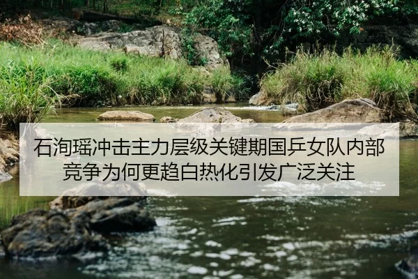 石洵瑶冲击主力层级关键期国乒女队内部竞争为何更趋白热化引发广泛关注