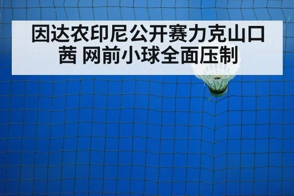 badminton net shot